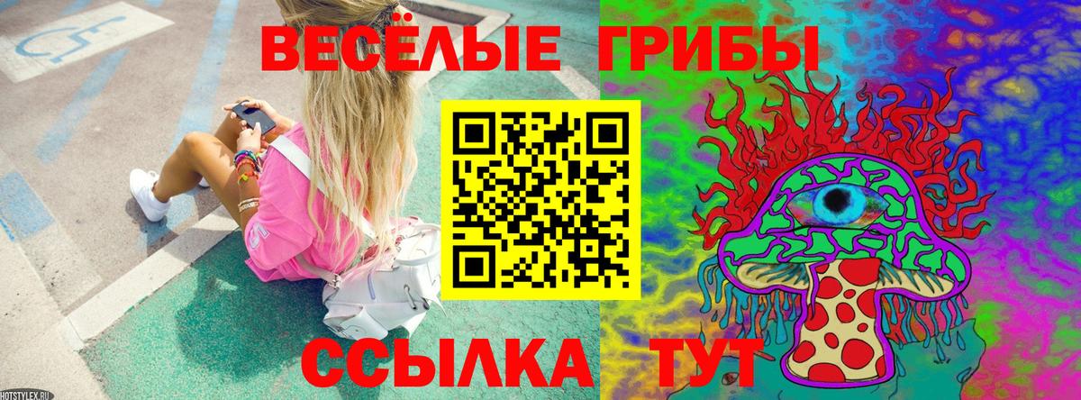 Воронеж  Галлюциногенные грибы прущие грибы  Вход с VPN 